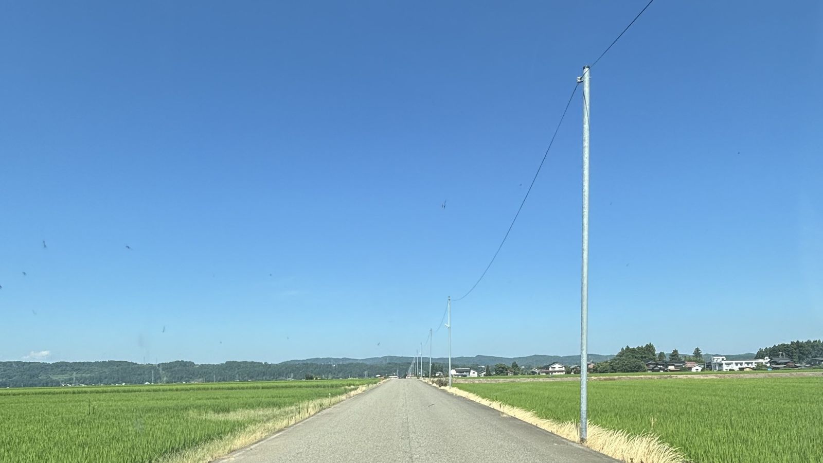 新潟県の田園の中をまっすぐ延びる配送ルート